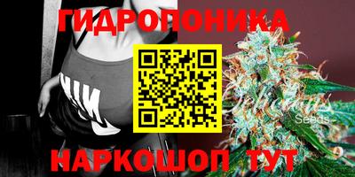 прущие крисы Гусиноозёрск