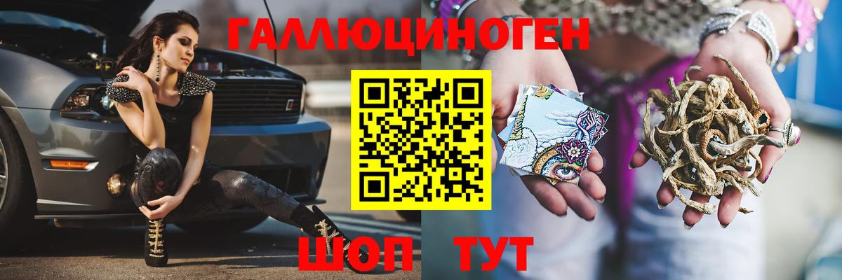 Псилоцибиновые грибы Psilocybine cubensis Наро-Фоминск